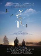 老电影丫丫完整版